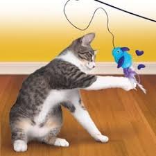 KONG Cat Wiggle Wand Interactive Cat Toy